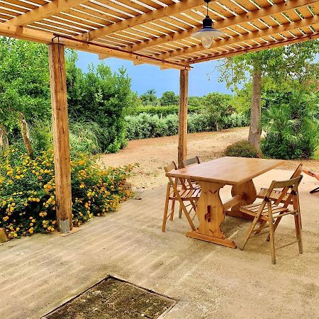 Villa Siciliana Con Piscina "Dal Picciotto" マルサラ エクステリア 写真